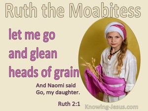 Ruth 2:2